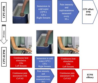 Inter-subject variability of pleasant pain relief using a data-driven approach in healthy volunteers